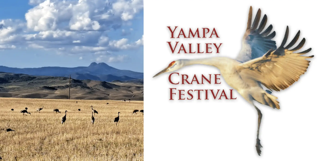 yampa valley crane festival logo with a photo of sandhill cranes